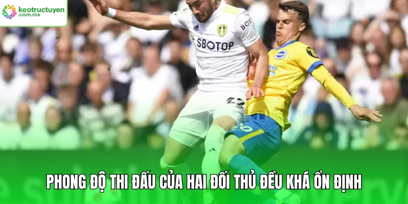 Phong độ thi đấu của hai đối thủ đều khá ổn định